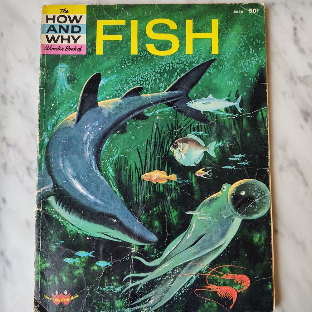 The How And Why Wonder Book Of Fish Geoffrey Coe 5038 Salmon Sharks Eels 1963